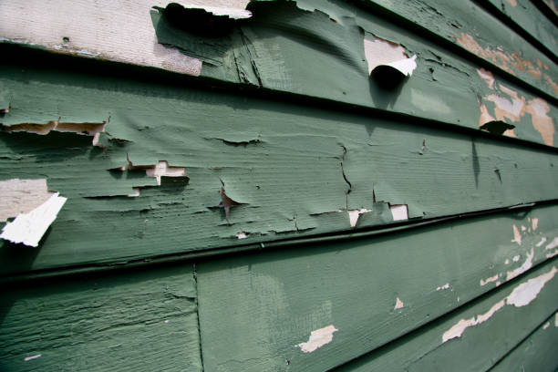 Reliable New Boston, TX Junk Removal Solutions